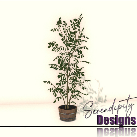 Serendipity Designs - Sag Harbor Floor Plants