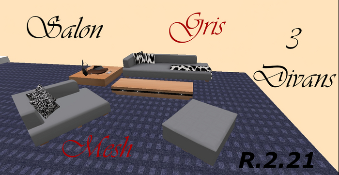 SALON - R.2.21 - GRIS - Mesh_Boite Market