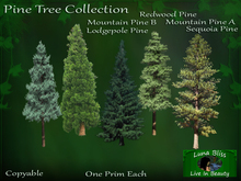 Pine Tree Collection By Luna Bliss