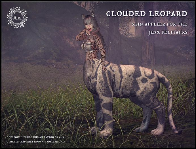 Jinx : Clouded Leopard Skin for Felitaurs  