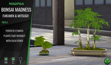 MadPea Bonsai Madness - Fukumen & Mitsugo