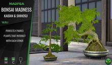 MadPea Bonsai Madness - Kaidan & Shihosu