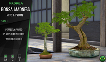 MadPea Bonsai Madness - Hito & Tsume