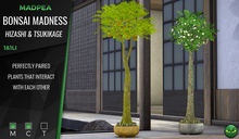 MadPea Bonsai Madness - Hizashi & Tsukikage