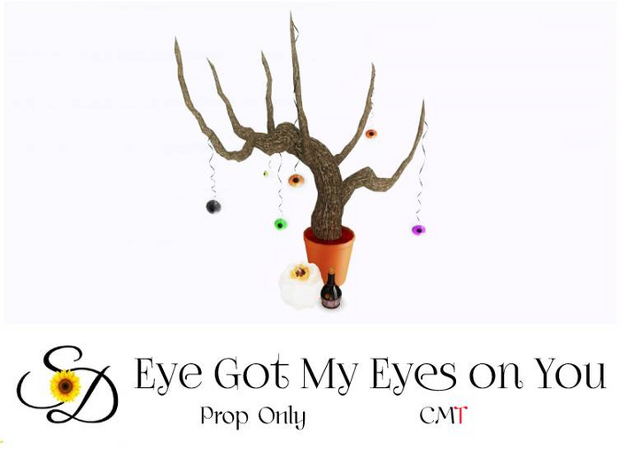 **SD~ Eye Got my Eyes on You!