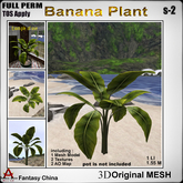 Full Perm Banana Plant s-2 