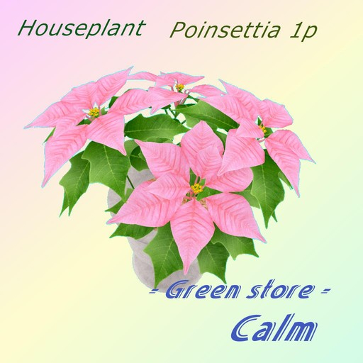 Poinsettia ha04 - 1p