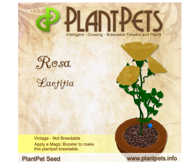 PlantPet Seed [Rosa *Laetitia*]