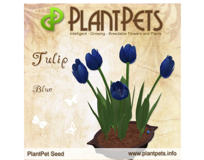 PlantPet Seed [Tulip *Blue*]