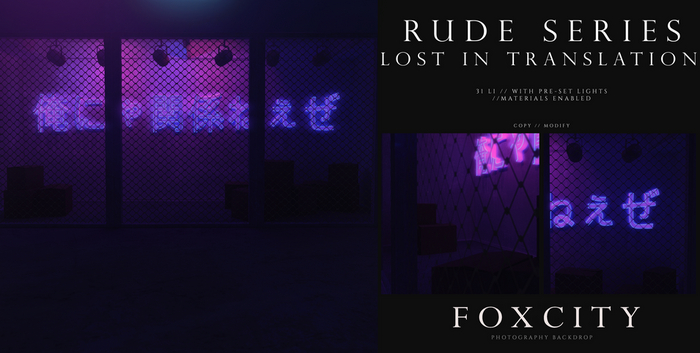 FOXCITY. Photo Booth - Rude Series - Lost In Translation