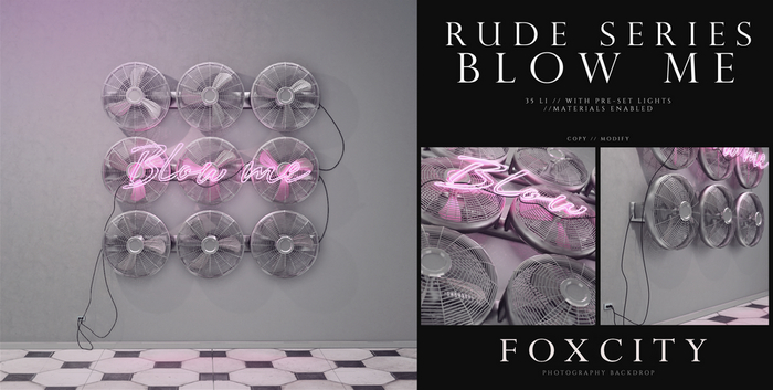 FOXCITY. Photo Booth - Rude Series - Blow Me
