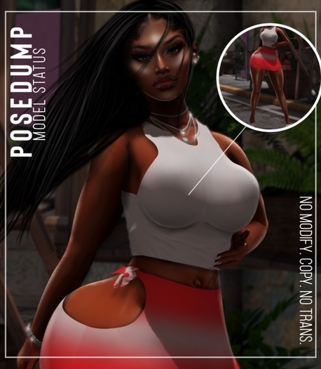 [POSEDUMP] - Model Status 
