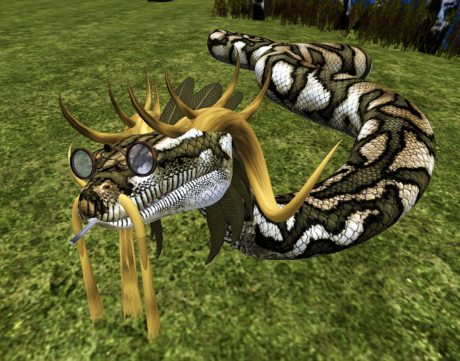 Titanoboa accessories
