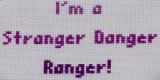 Danger Ranger Needlework Texture