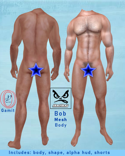 Badboy Bob Mesh Body (Box)
