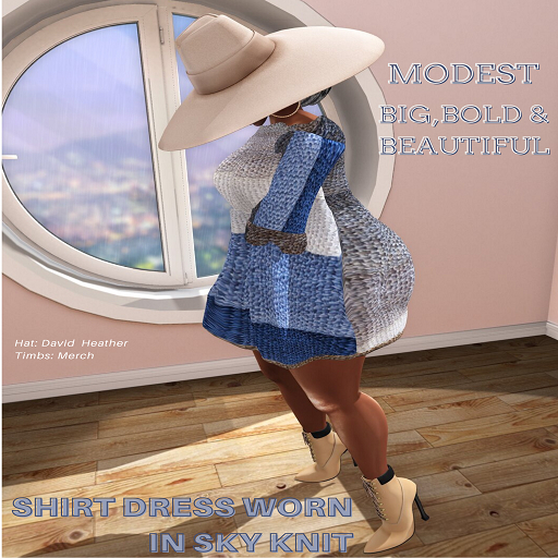 Modest: Shirt Dress Fatpack, Legacy F