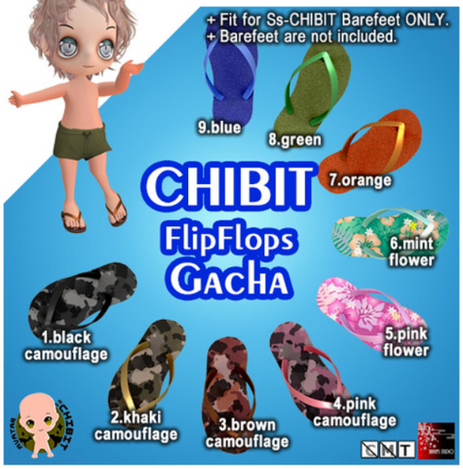 9.Ss-CB-FlipFlops - blue