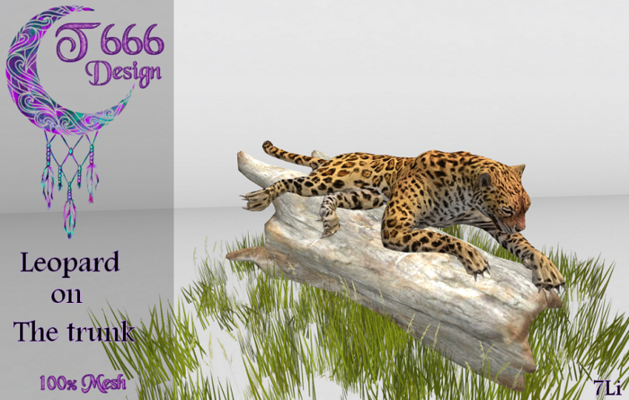 - Leopard on the trunk -