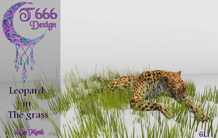 - T666D - Leopard in the grass