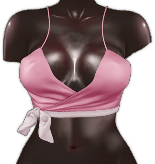 Kaithleen's Pahla Top - Pink