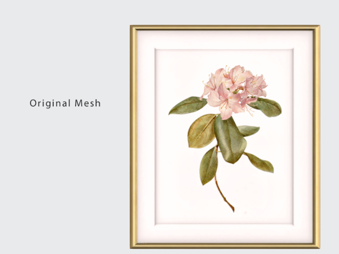 ACORN Rhododendron Art