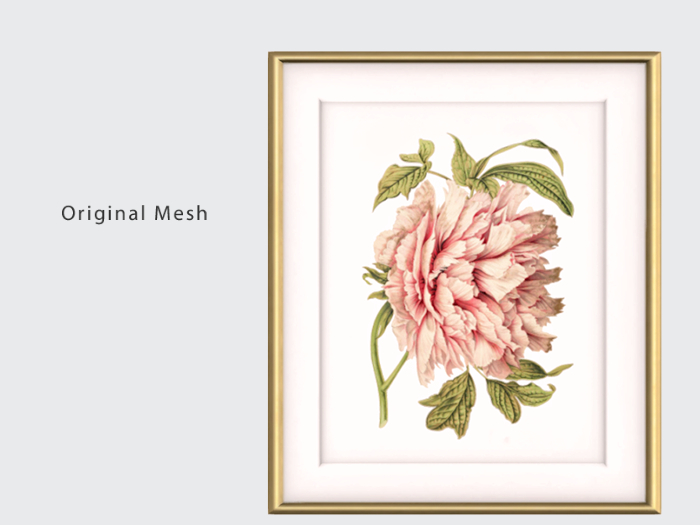 ACORN Paeonia Art