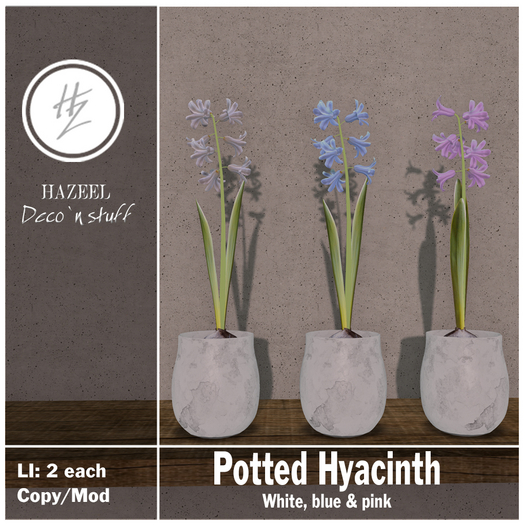 .::Hazeel::. Potted Hyacinth