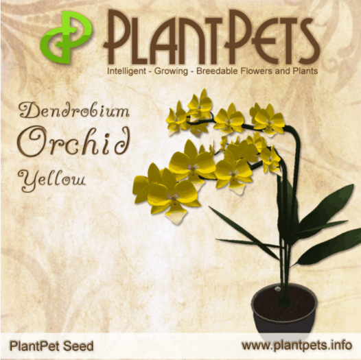 PlantPet Seed [Dendrobium Orchid *Yellow*] updated