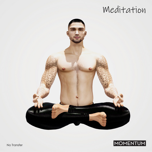 Momentum - Meditation