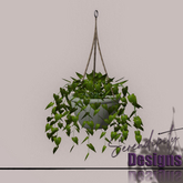 Serendipity Designs - Sag Harbor Hanging Vines 