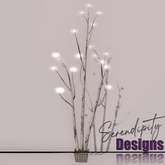 Serendipity Designs - Sag Harbor Lit Aspens 