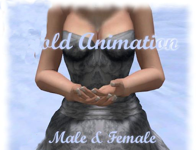 hold animations