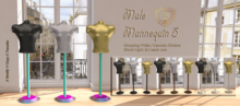 Nala Design - Mannequin [Male] V5