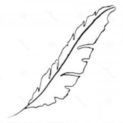 Flight Feather