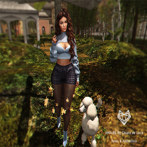 About Me  Ama-re Poses & Animations