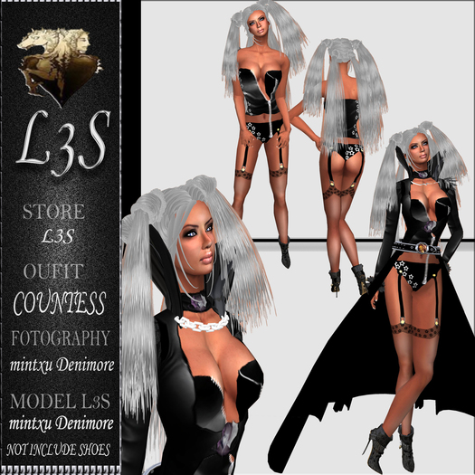 [ L3S ] COUNTESS
