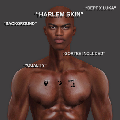 DP//HARLEM SKIN