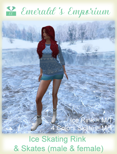 Skating Rink &  Ice Skates (Male & Female)