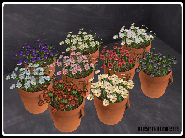 9 Planters Of Colorful Flowers