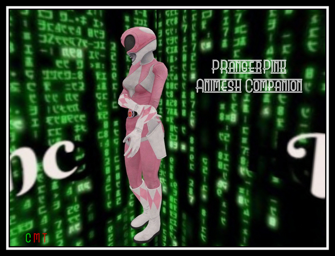 PRanger Pink Animesh Companion