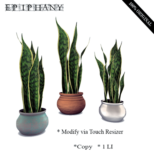 Snake Plants 3-in-1 (Touch Resizer Mesh)