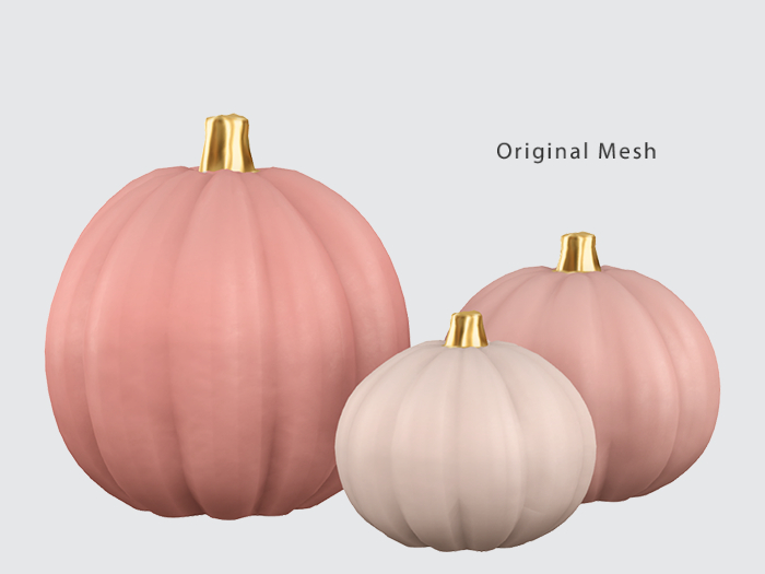 ACORN Pumpkins -Blush
