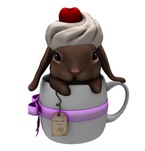 .Birdy. Bunny Cafe {Latte} [BOX]