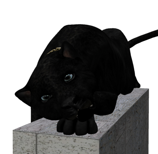 17.::GB::Black Panther D