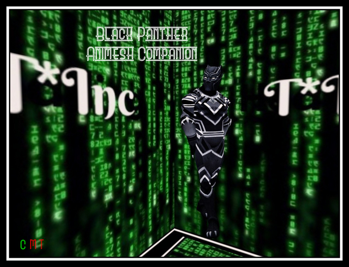 Black Panther Animesh Companion