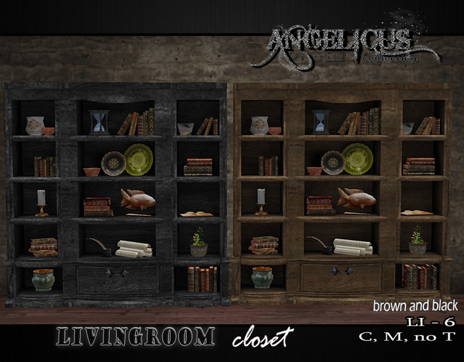 ::ANGELICUS:: Livingroom closet