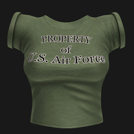 PROPERTY OF U.S. AIR FORCE CUFF TEE (BOXED) GRN