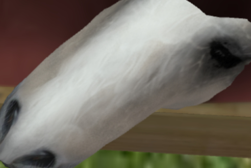 BB Horse Box