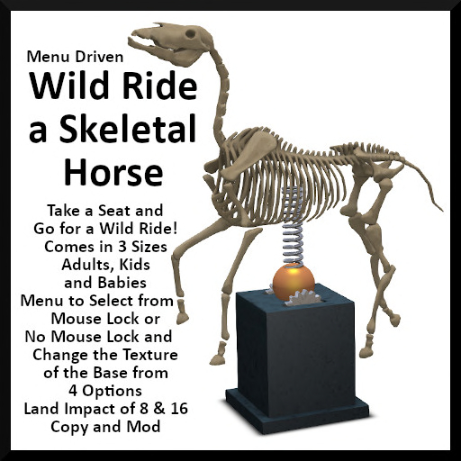 Wild Ride a Skeletal Horse