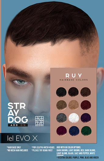 STRAY DOG ADD ON - RUY HAIRBASE - LELUTKA EVOX